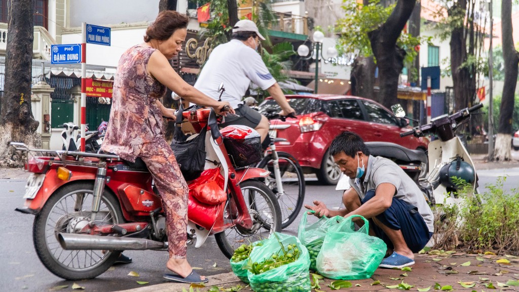 Hà Nội: Kiếm nửa triệu mỗi ngày nhờ trái sấu trên phố