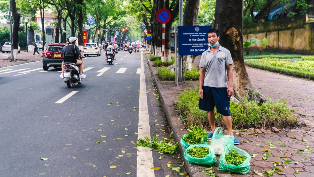 Hà Nội: Kiếm nửa triệu mỗi ngày nhờ trái sấu trên phố