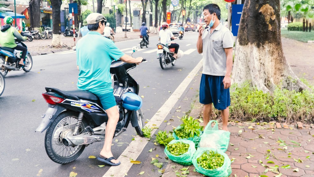Hà Nội: Kiếm nửa triệu mỗi ngày nhờ trái sấu trên phố