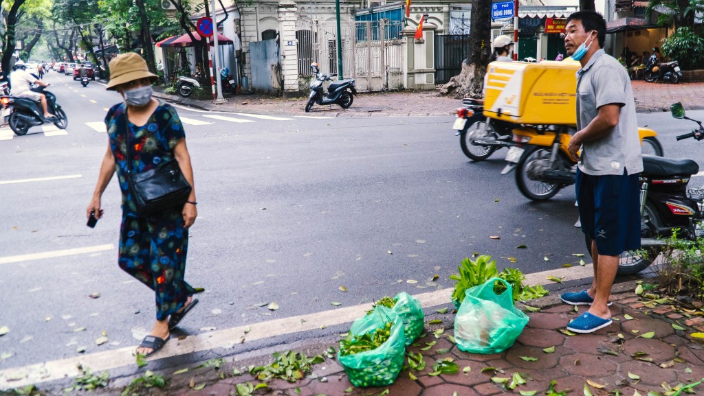 Hà Nội: Kiếm nửa triệu mỗi ngày nhờ trái sấu trên phố