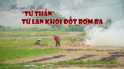 Mùa gặt ở Hà Nội: "Tử thần" từ làn khói đốt rơm rạ