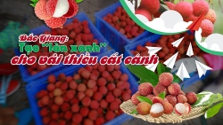 Bài 3: Tạo “làn xanh” cho vải thiều cất cánh