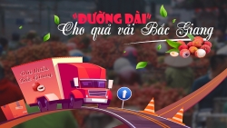 Bài 4: “Đường dài” cho quả vải thiều Bắc Giang