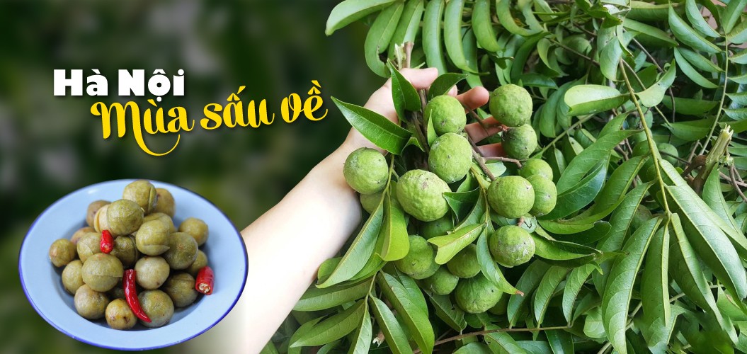 Hà Nội - Mùa sấu về