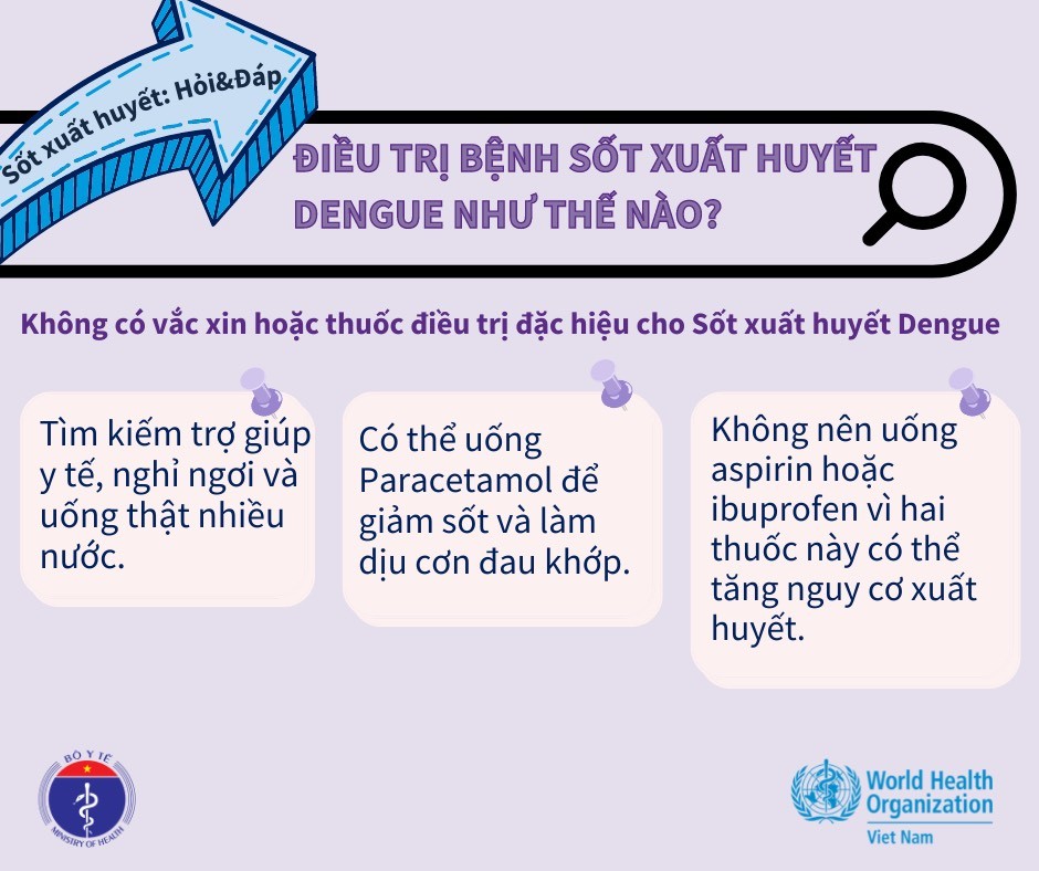 WHO cảnh báo về bệnh sốt xuất huyết Dengue