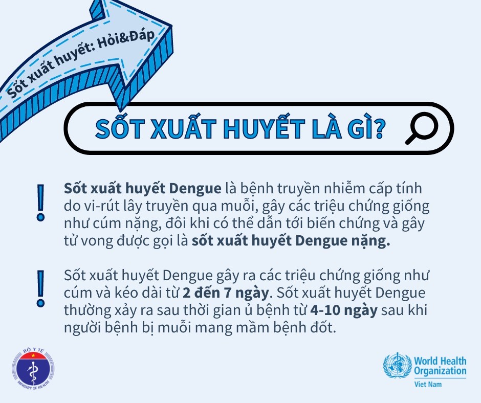 WHO cảnh báo về bệnh sốt xuất huyết Dengue