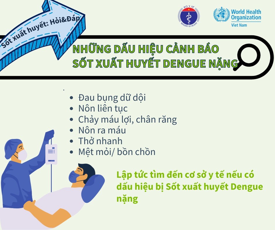 WHO cảnh báo về bệnh sốt xuất huyết Dengue