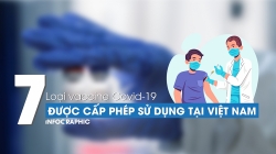 7 loại vaccine phòng Covid-19 đã được cấp phép tại Việt Nam