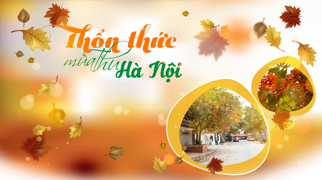 Thổn thức mùa thu Hà Nội