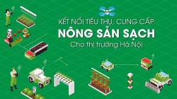 Thúc đẩy tiêu thụ, cung cấp nông sản sạch cho thị trường Hà Nội