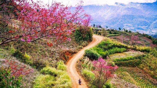 Trang thơ xuân của tác giả Ngọc Lê Ninh