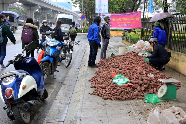 Người Hà Nội giải cứu khoai lang Gia Lai