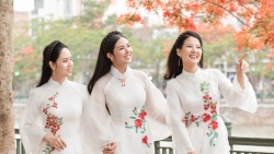 Hoa hậu Trần Thị Quỳnh hội ngộ dàn người đẹp trong “Lễ hội Hoa phượng đỏ 2022”