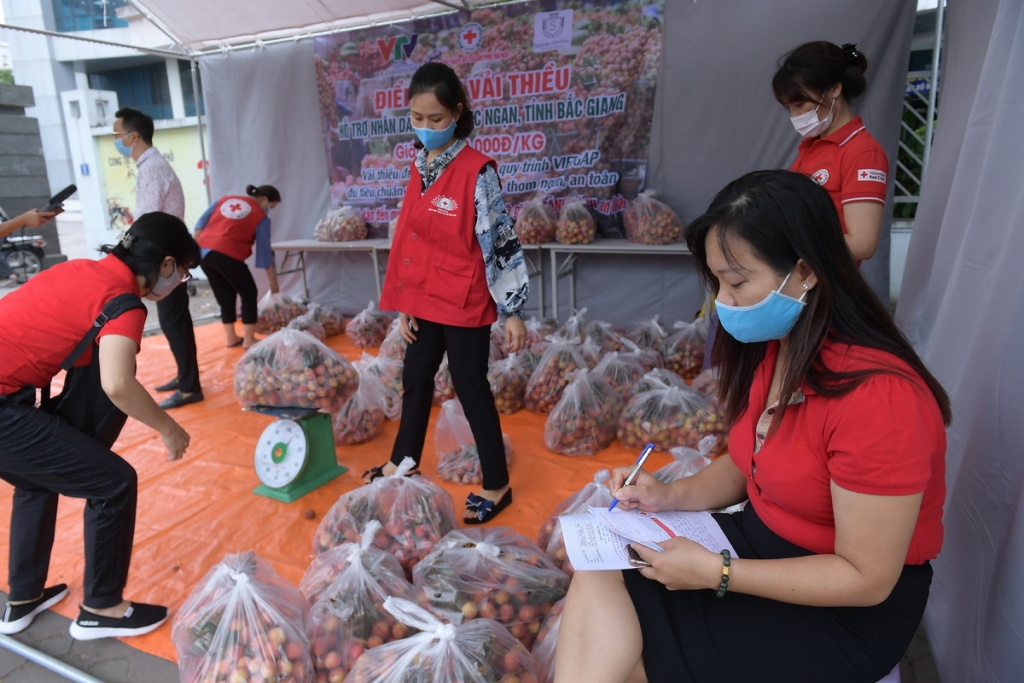 Người Hà Nội nhiệt tình tiêu thụ vải Bắc Giang