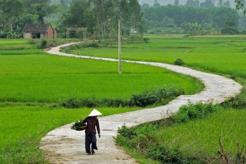 Hình tượng mẹ và Tổ quốc luôn chan chứa tình cảm trong thơ Ngọc Lê Ninh