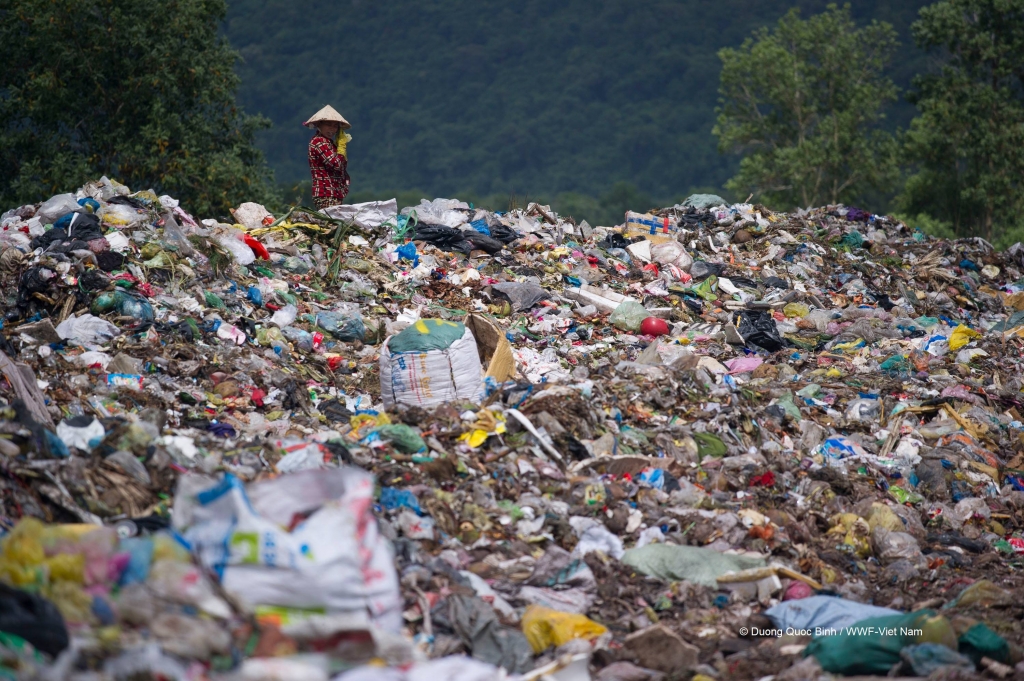 Rác thải nhựa đe dọa lớn đến môi trường