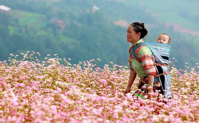 Ngày của mẹ và những câu chuyện ý nghĩa