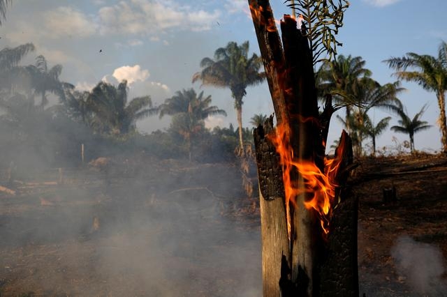 Brazil xảy ra tổng cộng 222.798 vụ cháy rừng trong năm 2020 (Ảnh: Reuters)