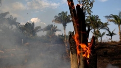 Tin tức thế giới 5/1: Năm 2020 Brazil có số vụ cháy rừng nhiều nhất thập kỷ