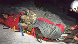 Chú chó nằm ủ ấm suốt 13 tiếng cứu chủ trên núi tuyết