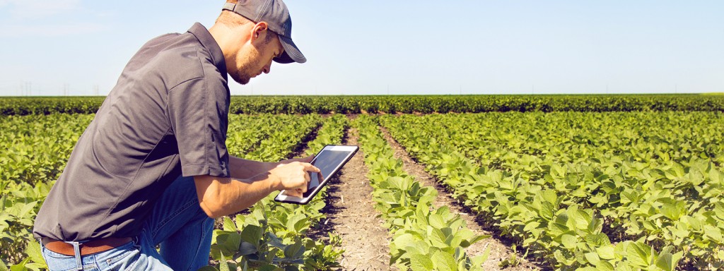 Làng thông minh phát huy những giá trị nông nghiệp trên nền tảng công nghệ số (Ảnh: agreeta.com)