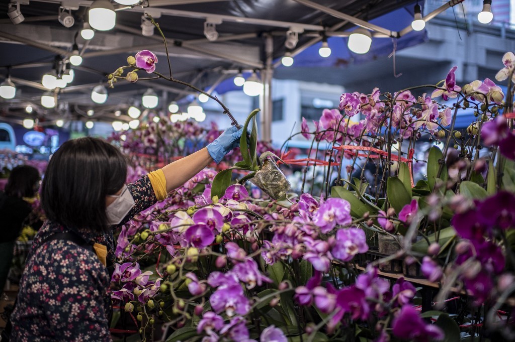 Khu chợ hoa ngày Tết ở quận Hoàng tử Edward, Hong Kong (Trung Quốc) ngày 23/1 (Ảnh: Getty0