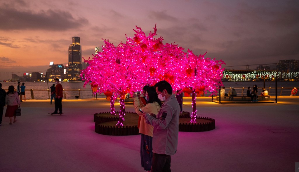 Người dân chụp ảnh trước những cây hoa anh đào lung linh sắc màu tại cảng Victoria Harbour, Hong Kong (Trung Quốc) (Ảnh: EPA)