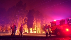 Tin tức thế giới 3/2: Cháy rừng tại Australia thiêu trụi 7.000 ha đất và phá huỷ ít nhất 30 căn nhà