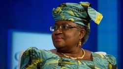 Tin tức thế giới 16/2: Bà Okonjo-Iweala người Nigeria được bầu làm Tổng Giám đốc WTO