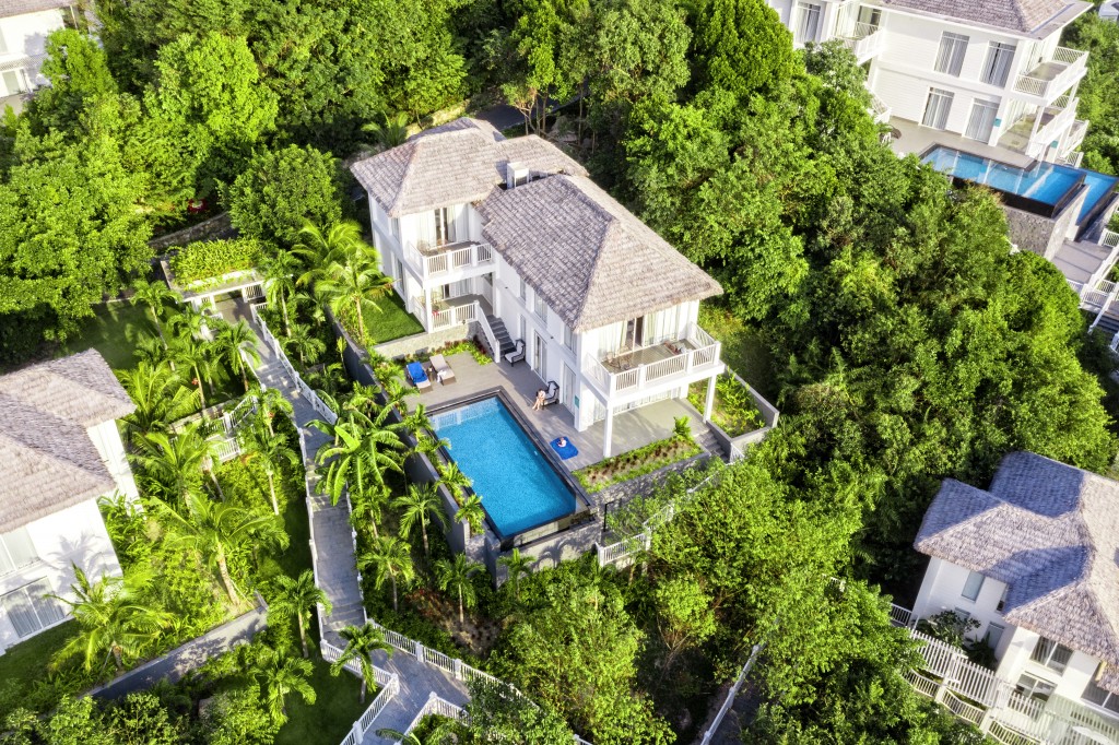 Đi lạc vào một 