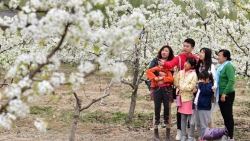 Chùm ảnh: Lễ hội hoa lê trắng ở Hà Bắc, Trung Quốc