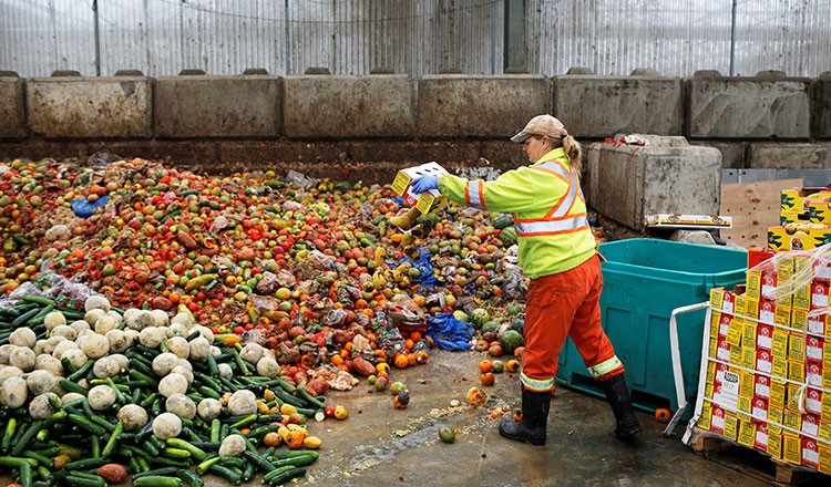 Thế giới lãng phí gần 1 tỷ tấn thực phẩm mỗi năm (Ảnh: Reuters)