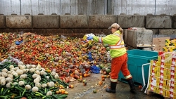 Gần một tỷ tấn thực phẩm đang bị lãng phí mỗi năm