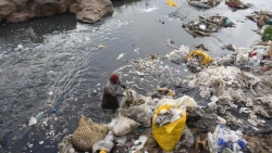 Gần nửa con sông trên thế giới bị ô nhiễm dược phẩm nghiêm trọng