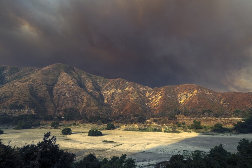 : Bang California đã cho đóng cửa toàn bộ rừng quốc gia (Ảnh: Los Angeles Times)
