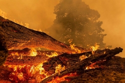 Tin tức thế giới 14/9: Cháy rừng diến biến phức tạp, ít nhất 33 người thiệt mạng tại Mỹ
