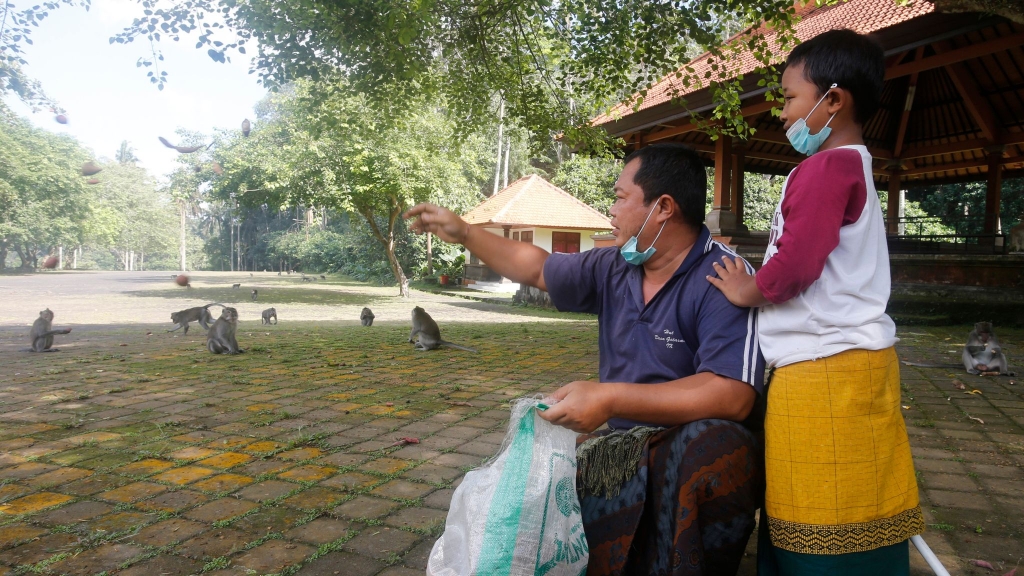 Dân làng đã mang thức ăn cho những con khỉ để cố gắng ngăn chúng đột kích vào nhà. Ảnh: AP