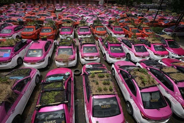 Do ảnh hưởng của dịch bệnh, hàng ngàn chiếc taxi ở Bangkok bị bỏ không (Ảnh: AP)