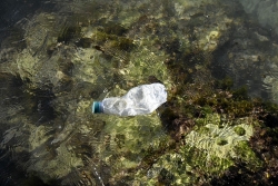 Trong 20 năm tới, rác thải nhựa đổ ra Địa Trung Hải sẽ tăng gấp đôi