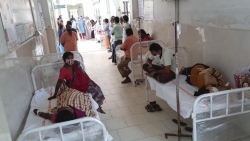 Tin tức thế giới 9/12: Tổ chức Y tế thế giới điều tra căn bệnh lạ tại Ấn Độ
