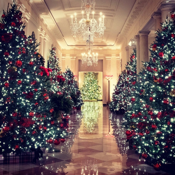 Những cây thông Noel được trang trí lộng lẫy tại Nhà trắng năm nay (Ảnh: Twitter của bà Melania Trump)