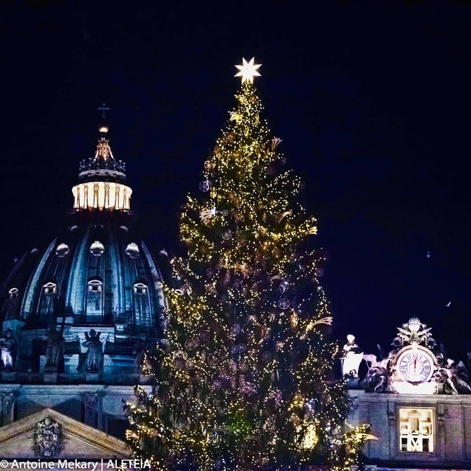 Cây thông Noel ở Vatican (Ảnh: Antonie Mekary)