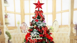 Ý nghĩa của cây thông trong ngày Giáng sinh