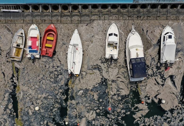 Một lớp nhầy đặc, màu nâu và sủi bọt đã bao phủ bờ biển Marmara, Istanbul (Thổ Nhĩ Kỳ) đe doạ nghiêm trọng đời sống của người dân và các loài sinh vật biển ngày 8/6