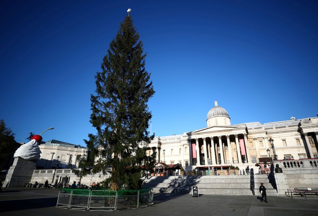 Cây thông Noel ở Quảng trường Trafalgar, London, hôm 2/12 ( Ảnh: Reuters)