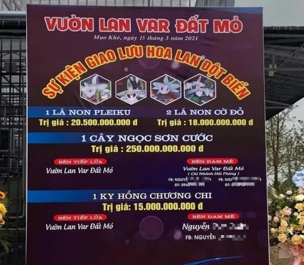 UBND thị xã Đông Triều (Quảng Ninh) yêu cầu làm rõ những giao dịch mua bán hoa lan lên đến hàng trăm tỷ đồng.