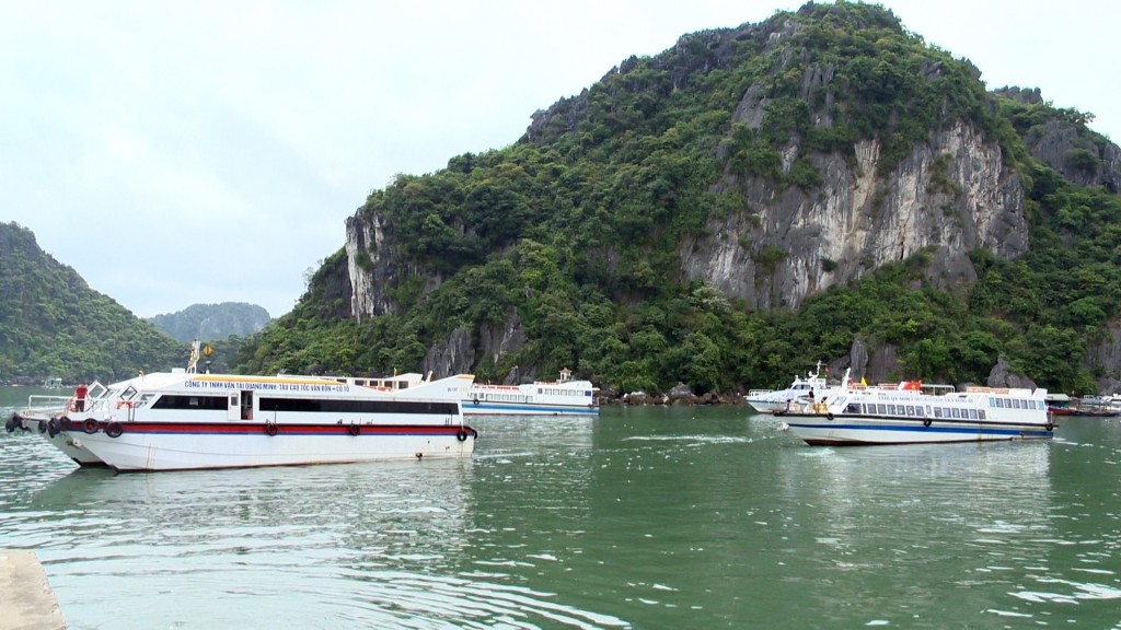 Các đơn vị kinh doanh vận chuyển hành khách chưa có thông báo đến cơ quan quản lý vận tải trước khi điều chỉnh giá cước.