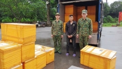 Quảng Ninh: Bắt giữ vụ vận chuyển 500 kg cá tầm nhập lậu từ Trung Quốc