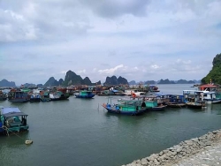 Quảng Ninh: Neo đậu tàu thuyền tại nơi an toàn để tránh bão Koguma