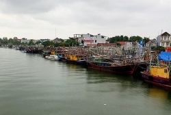 Quảng Ninh: Tạm ngừng cấp phép tàu ra biển từ 23/7